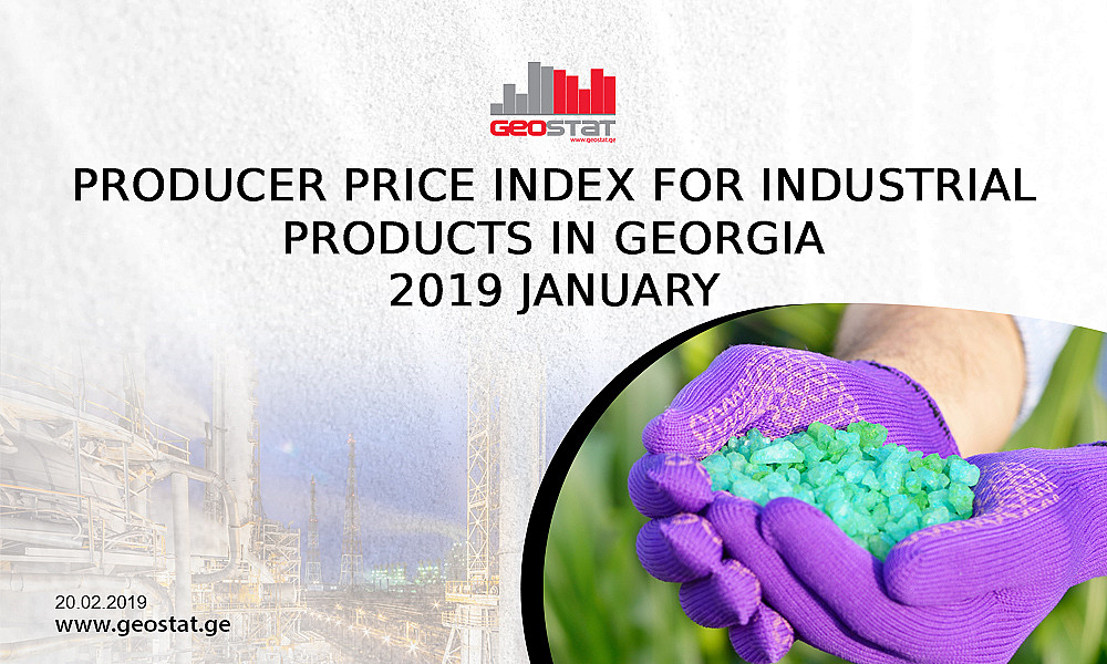 producer-price-index-in-georgia-january-2019